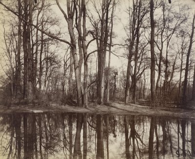 Saint-Cloud (jardins du château de Philippe Duc d